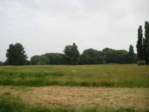 The former golf course at Leyton Marshes